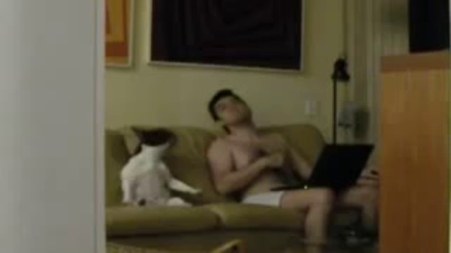 Bouledogue qui imite son maître ! смотреть онлайн