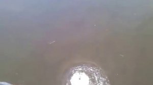 Прыжок с моста 25 метров в воду