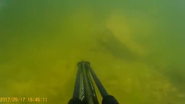 Рыбалка под водой смотреть онлайн