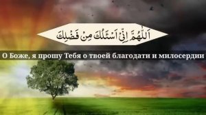 сильнейшийСамая  Дуа #дуа #quran #салават