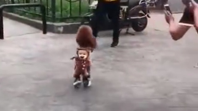 А я иду такая вся... смотреть онлайн