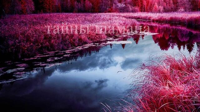 Шепоток перед важным делом. Онлайн Ритуал смотреть онлайн