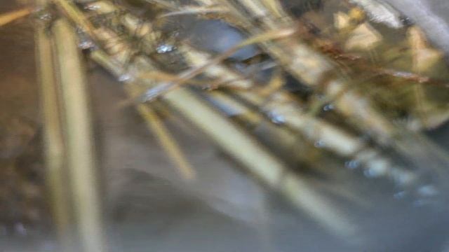 Бизнес-Советы и Инструкции