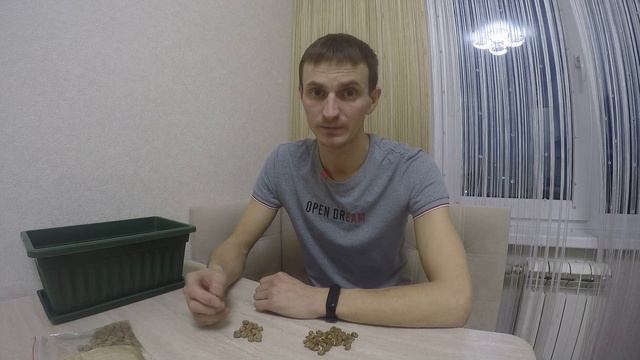 КАК САЖАТЬ ЧУФУ(ТИГРОВЫЙ ОРЕХ) ЧАСТЬ 1. ТЕОРИЯ смотреть онлайн