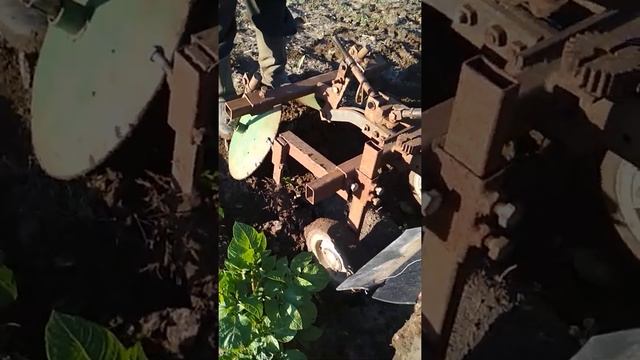 Підгортання картоплі дисками смотреть онлайн