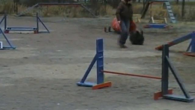 agility mini смотреть онлайн