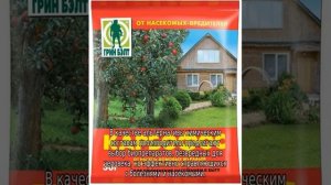 Обработка малины весной от болезней и вредителей