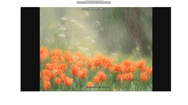 3 буквы + склады с "Ю" смотреть онлайн