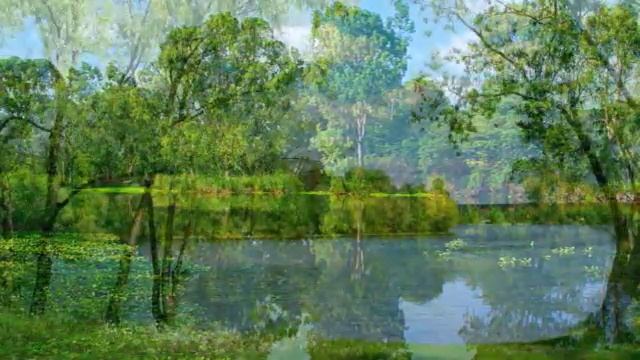 Возвращение к Богу. Расставить приоритеты.