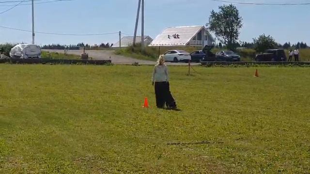 3.  выражено/перв LOVE AND SPIRIT URANAMI (Love And Spirit Mig – Okinawa V. King's Castle)