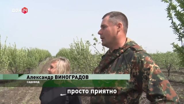 Ловушки в частном саду смотреть онлайн