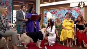 Tak Tahan Jomblo Dan Kesepian,, BULE Cantik «Begituan» Dengan Anjing Peliharaan!!