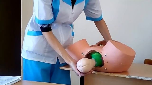 Акушерское пособие при физиологических родах смотреть онлайн