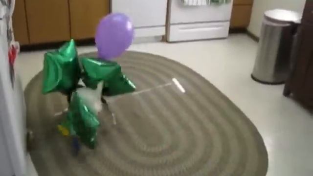 Самый смешной в мире подарок собаке на День Рождения смотреть онлайн