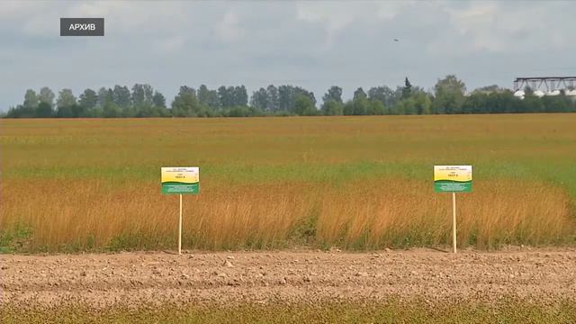 Экономический обзор - 28.02.20 смотреть онлайн