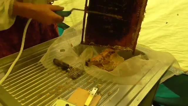 ПРИНЦИП ТАРАНОВА 51Х29 смотреть онлайн