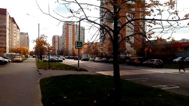 Москва 1059 улица Авиаконструктора Миля осень день смотреть онлайн