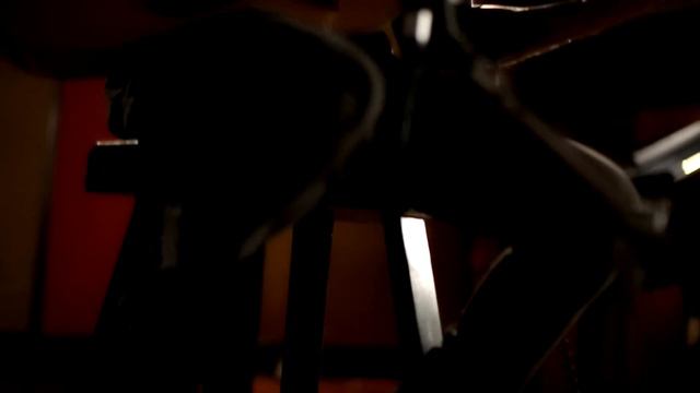 Hailee Steinfeld - Flashlight