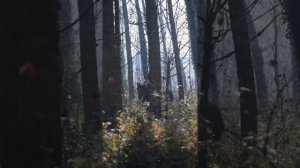 Территория Балкарии и Карачая являлось убежищем для Кабардинцев