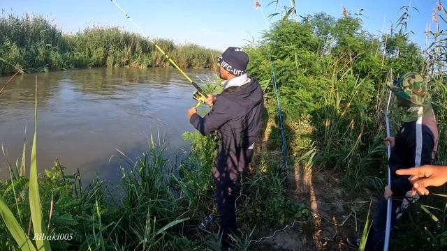 Ловля трофейного сазана и сома.Рыбалка с ночевкой . смотреть онлайн
