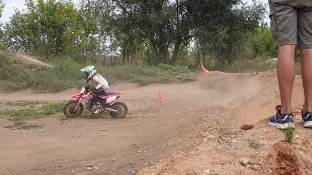 тренька 29 августа. смотреть онлайн