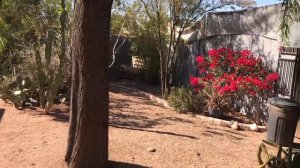 Как живут простые американцы. Обычный дом обычной пенсионерки в США