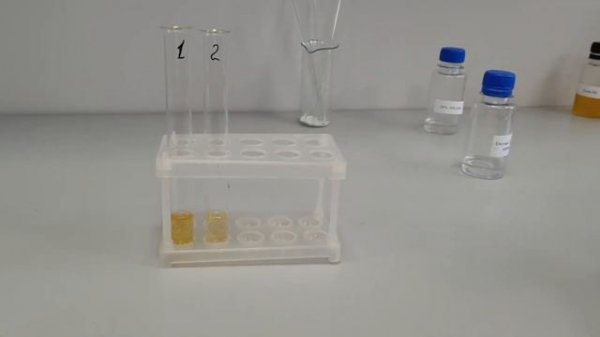 6.3 Виявлення ацетону в сечі (проба Ланге)