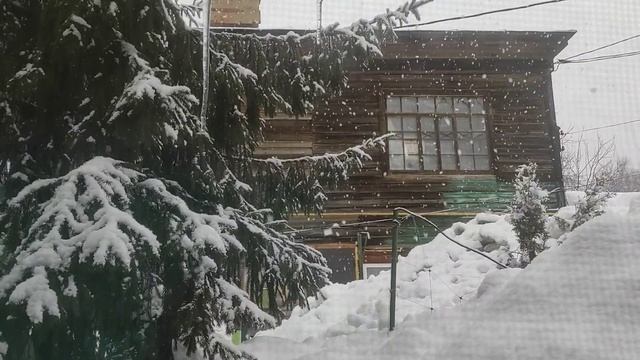 173. Вышивальная неделя 01.02-06.02.2022г/Финиши/Покупки