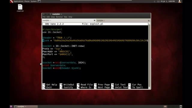 From Fuzzing to Metasploit, Part 2/3 смотреть онлайн