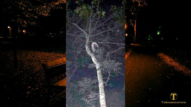 История о странном существо без зрачков смотреть онлайн