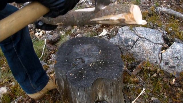 The Log Trap - For Small Game. смотреть онлайн
