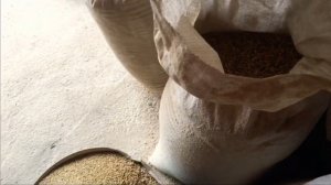 Почему беру отсев ) как делаю раствор )