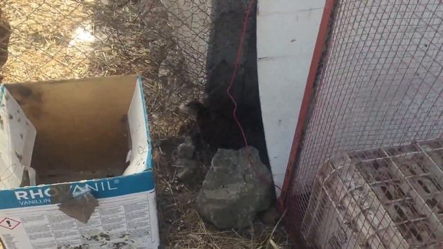 Découverte et partage, Gite écologique de Benslimane Vlog #03 смотреть онлайн