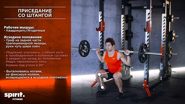 Приседание со штангой смотреть онлайн