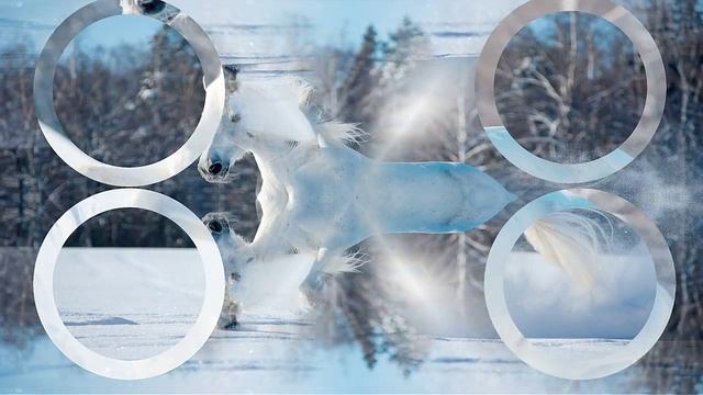 ЗИМНИЙ ВАЛЬС смотреть онлайн