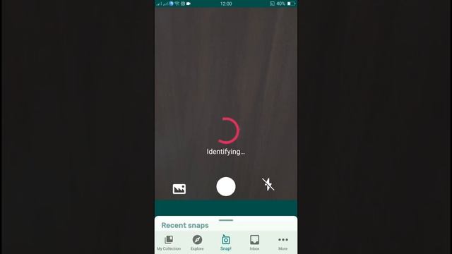 PlantSnap identifies a Hala (Pandanus tectorius) смотреть онлайн