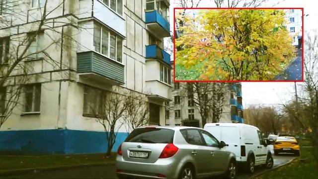 #1.Почему я снимаю вертикальные ролики? Видео. смотреть онлайн