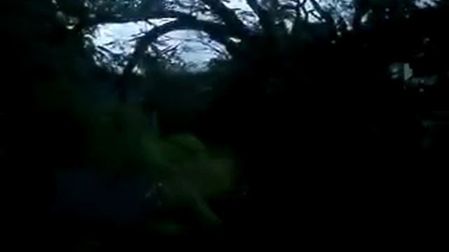 OLYMPUS FE-170 video test