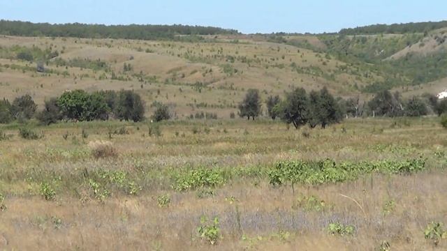 Курганы у хутора Филяты. смотреть онлайн