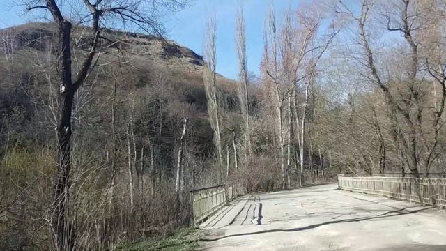 Размышления вслух. Понедельник - день прекрасный! смотреть онлайн