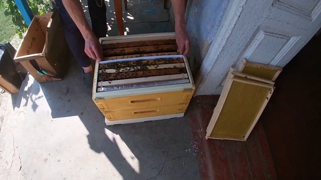 Двухматочное содержание ? два слабых отводка в зиму. Улей Бджоляр 2022 смотреть онлайн