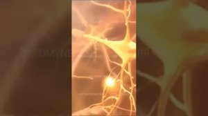 Хемохим от Атоми! Как принимать и использовать!