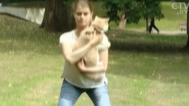 Вместо гантелей – кот весом в 6 кг! Зоофитнес или физические упражнения с любимыми питомцами смотреть онлайн