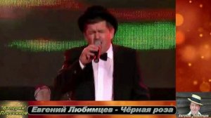 Евгений Любимцев - Чёрная роза