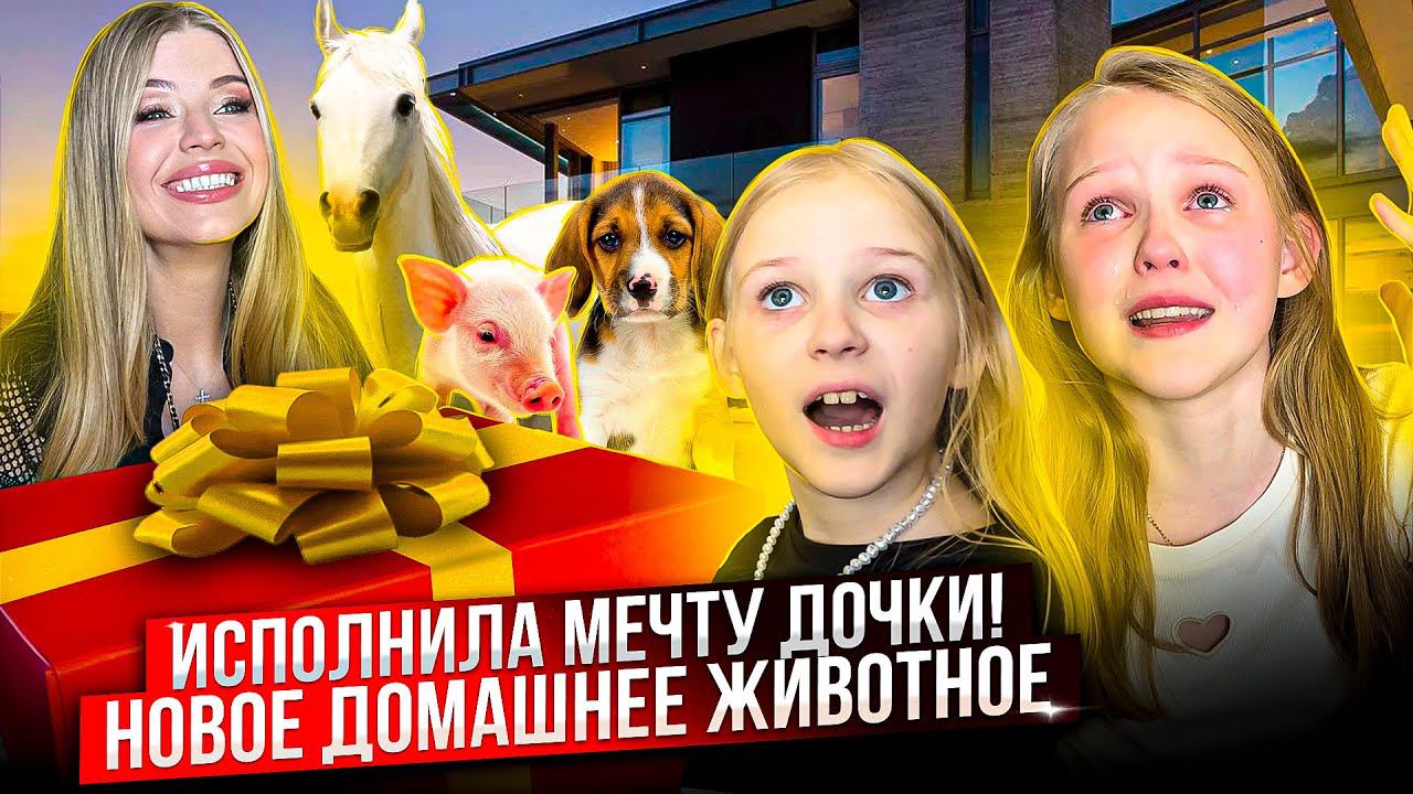 ИСПОЛНИЛА МЕЧТУ ДОЧКИ ! НОВОЕ ДОМАШНЕЕ ЖИВОТНОЕ ! смотреть онлайн