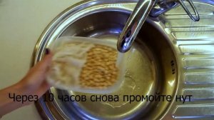 Как прорастить нут дома?