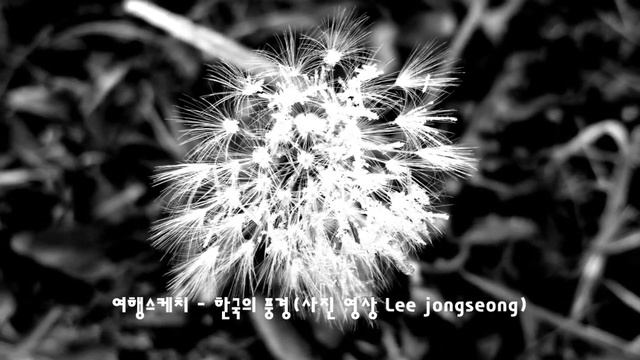 Iva Zanicchi Ciao Cara, Come Stai смотреть онлайн