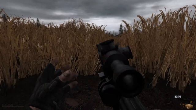 S.T.A.L.K.E.R CALL OF MISERY #12 (Обновки) смотреть онлайн