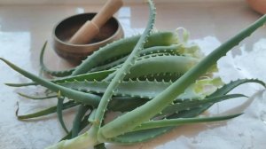 ВЫМАНИТЬ КОРНИ У ОРХИДЕИ ЗА НЕДЕЛЮ!  ВСЕГО ОДНА ОБРАБОТКА! ЭФФЕКТ ОШЕЛОМЛЯЕТ! АЛОЭ ДЛЯ ОРХИДЕЙ 100%