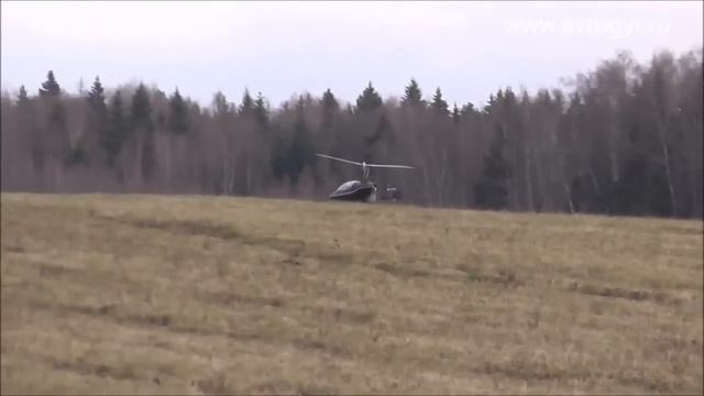 Дельфин eng смотреть онлайн